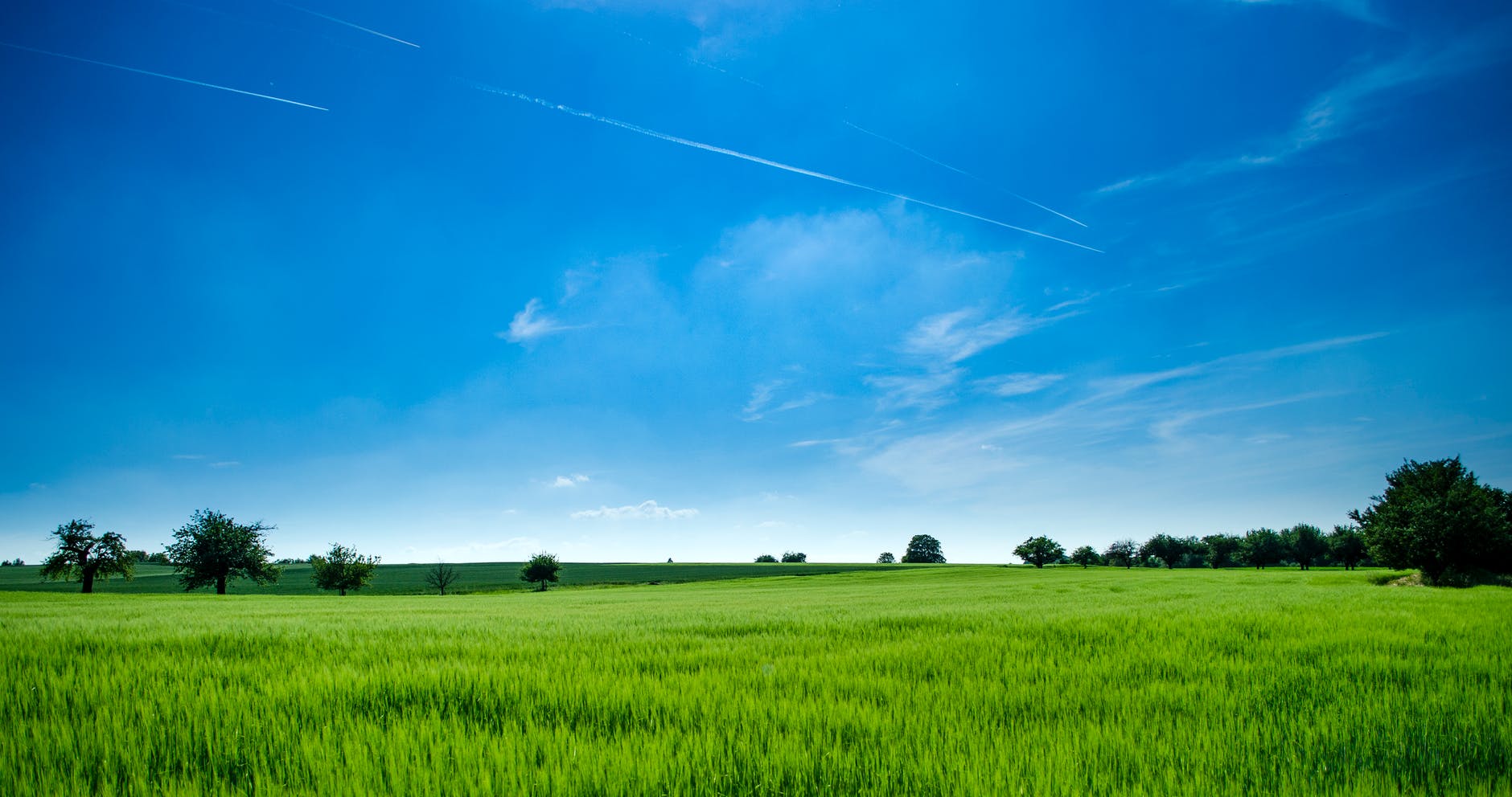 Land | India | Nation | National