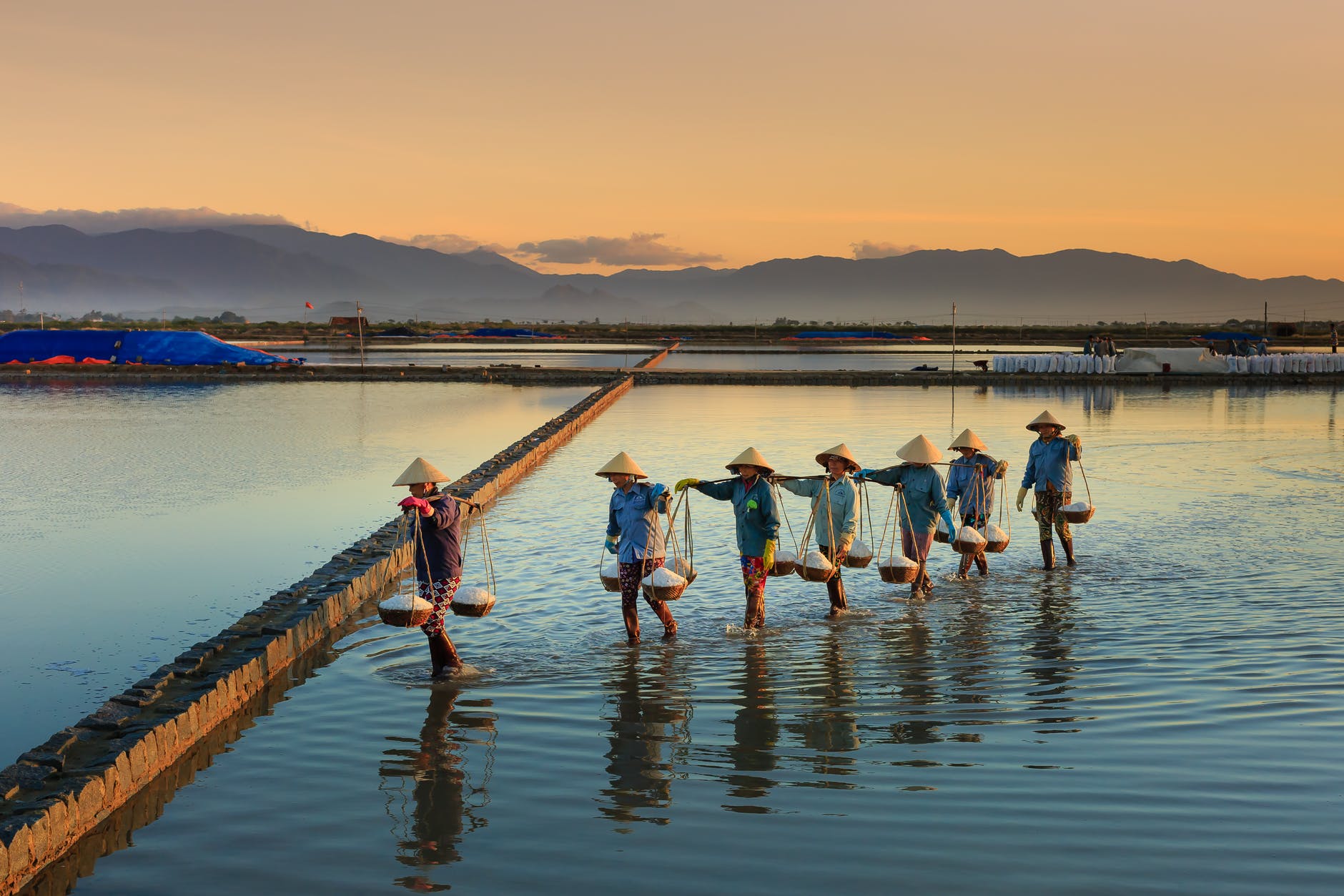 row of people on body of water